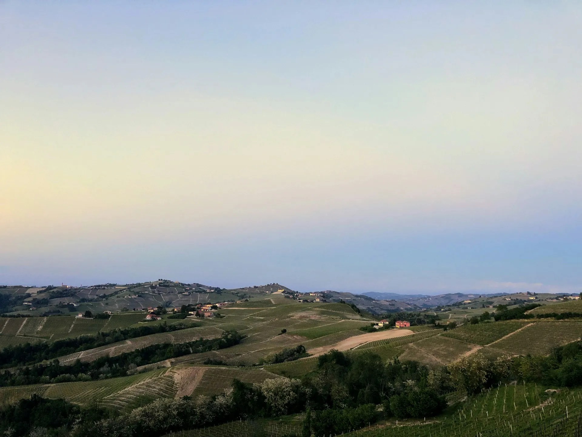 Bakker med vinmarker i Piemonte