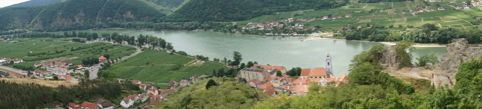 Vinmarker ved Donau