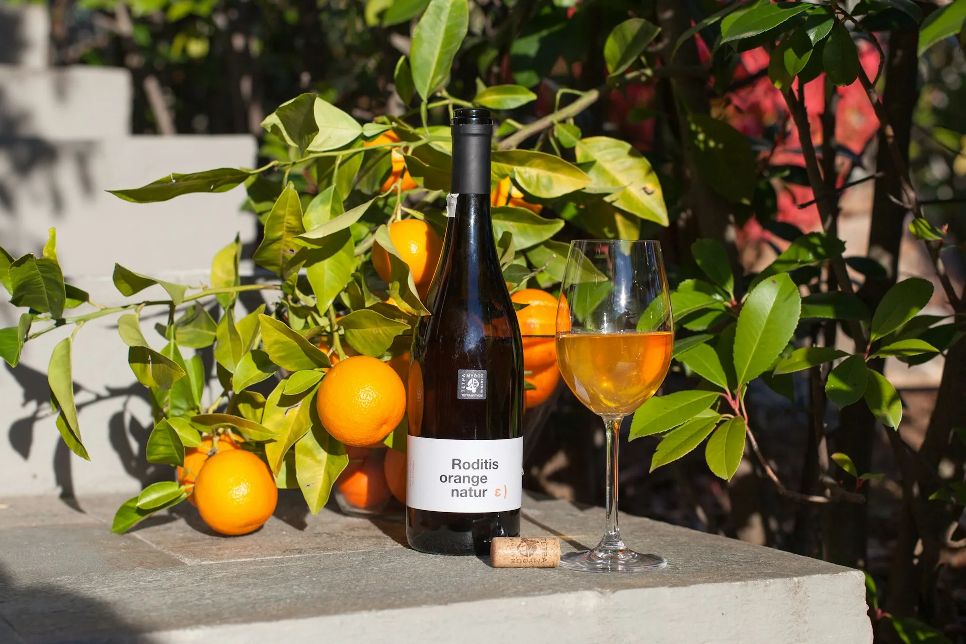 Et glas orange vin mellem appelsiner