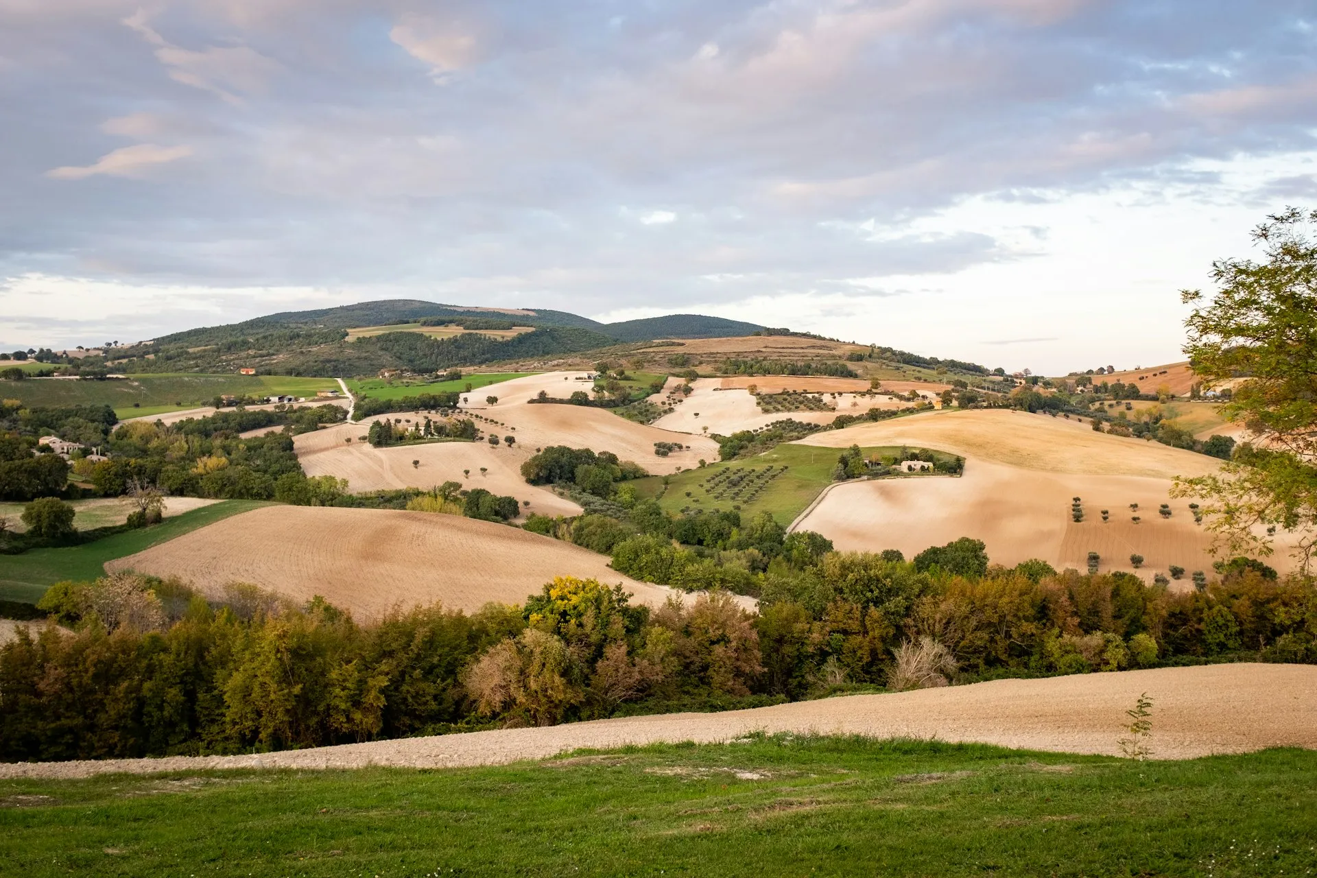 Bølgende bakker og marker i Italien